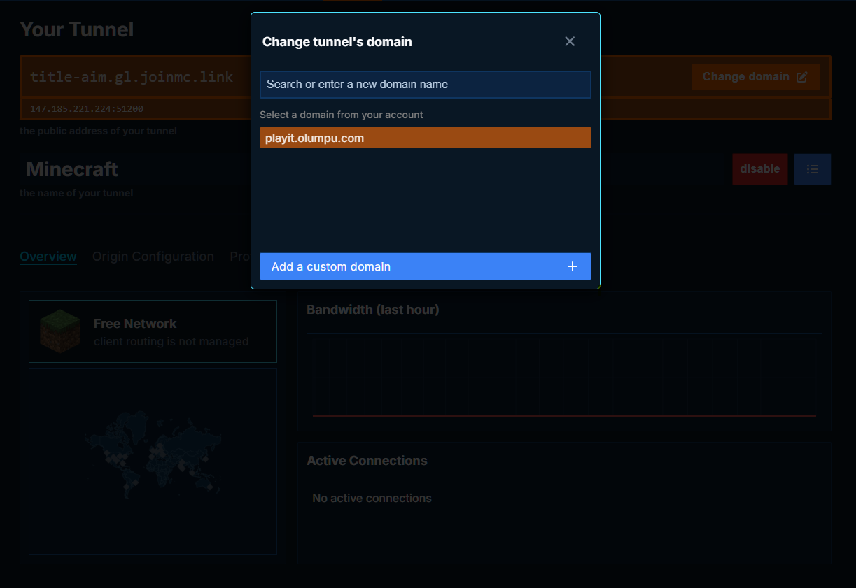playit add sub domain