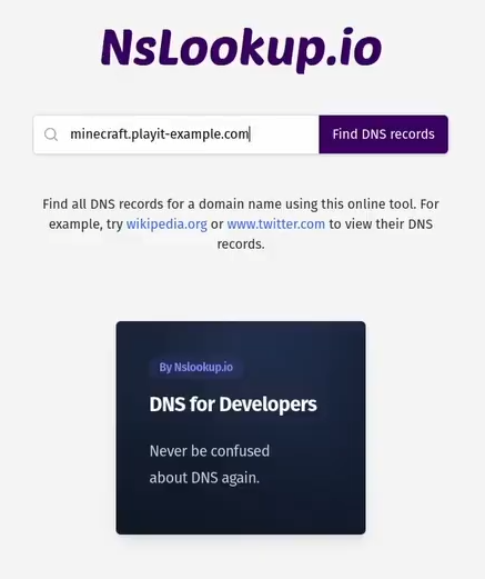 check dns records