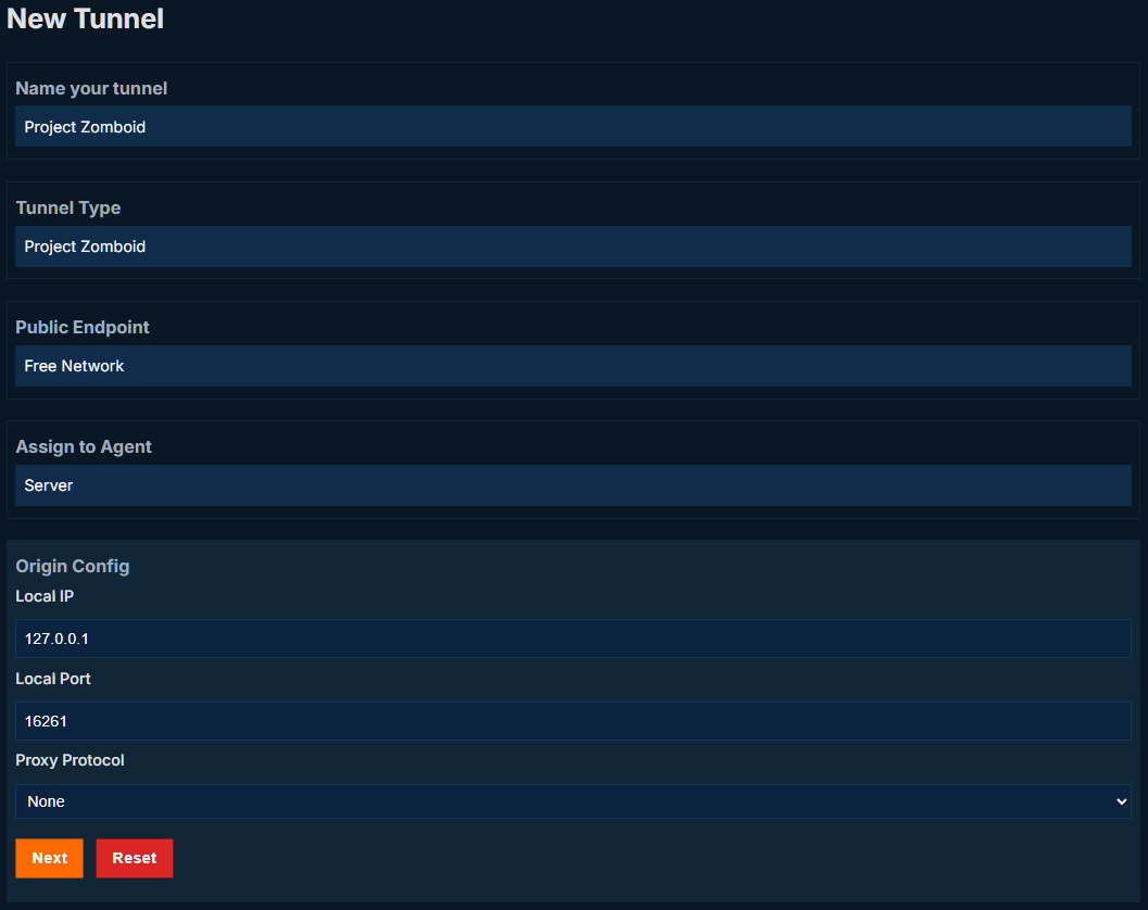 playit tunnel config